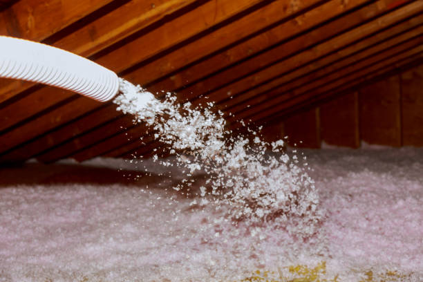 Best Insulation Contractors for Homes  in Tremont, IL