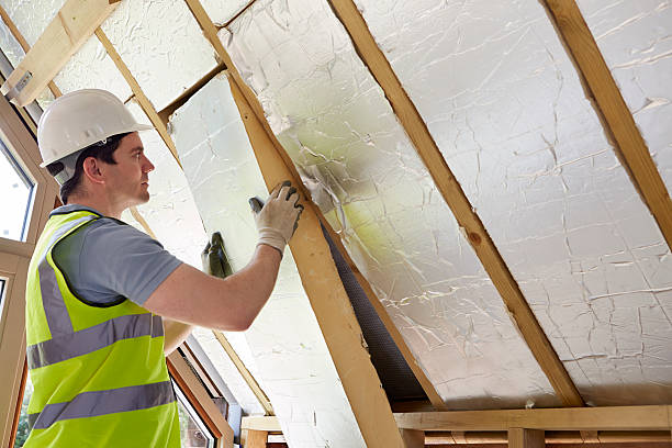 Best Insulation Inspection Services  in Tremont, IL